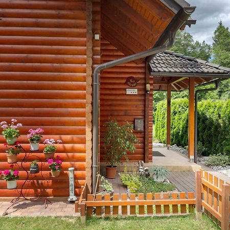 Apartma Metka Medvode Exterior foto