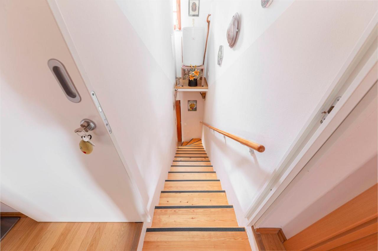 Apartma Metka Medvode Exterior foto